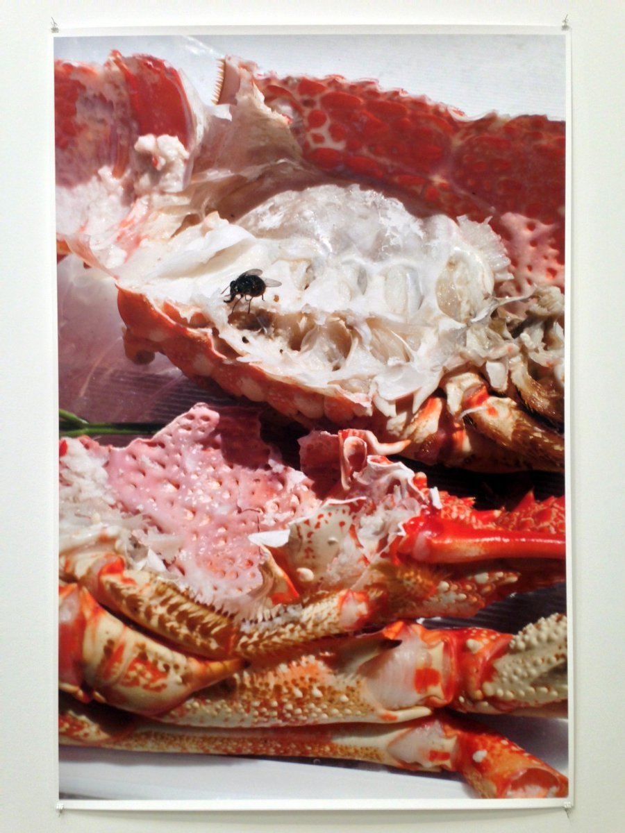 Wolfgang Tillmans, 2017 – by Silvia Bombardini – A Shaded View on