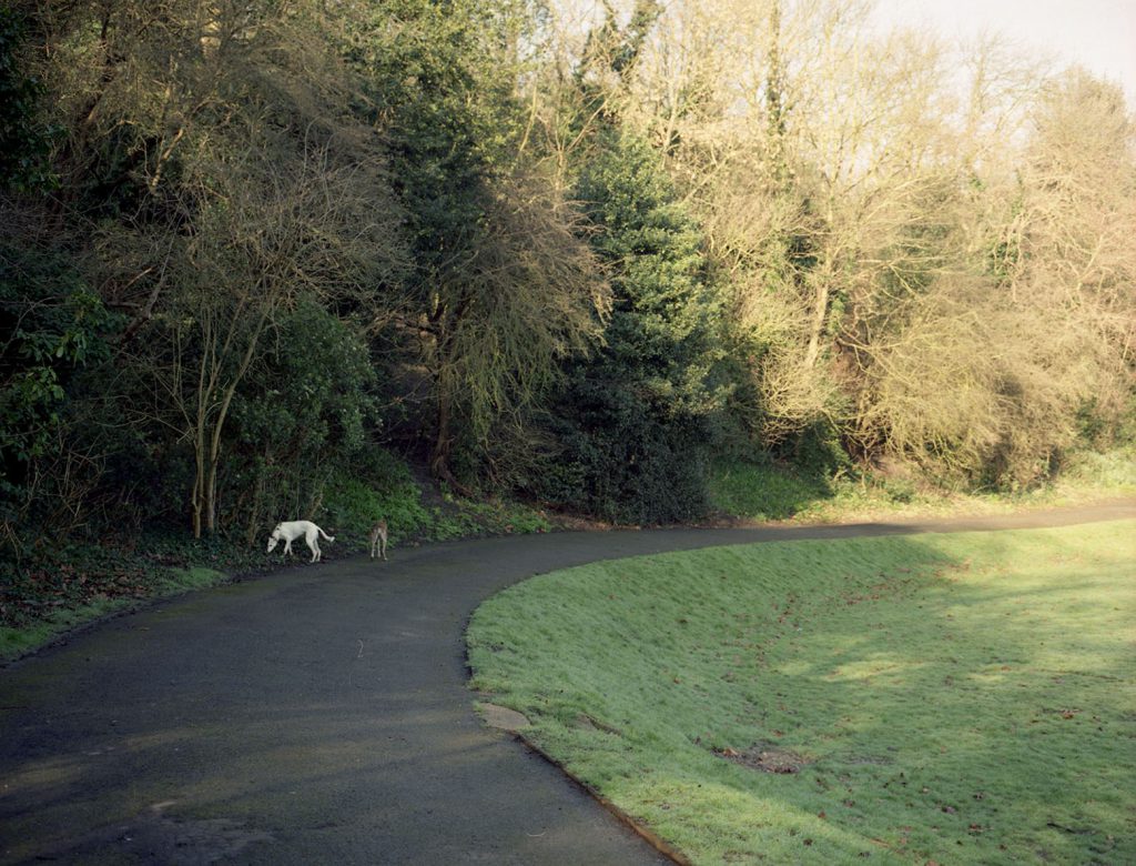 Maryon Park giascoBertoli_C-Print-50x60cm_2007