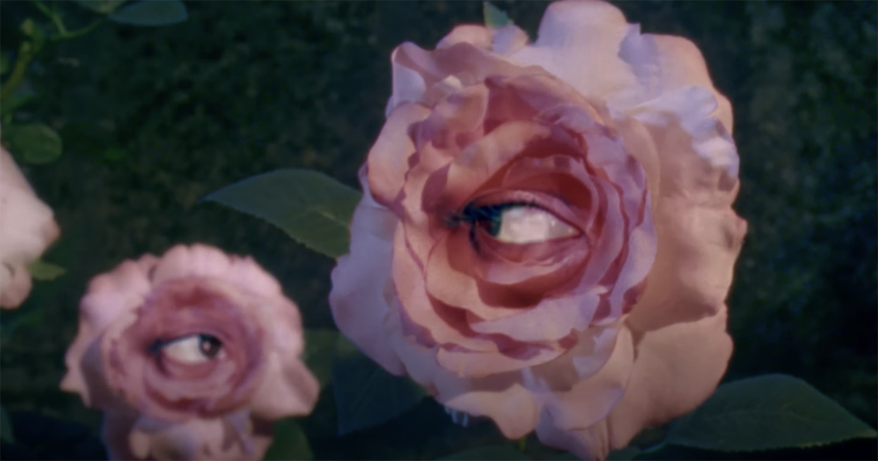Måltid ventil Uden for Anjelica Huston and the new GUCCI Bloom Campaign with the stop motion  flower sequence by the Brothers Quai – A Shaded View on Fashion