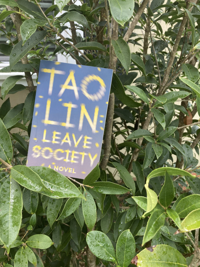 leave society tao lin
