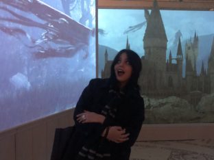 Exposition Harry Potter, l'exposition - Paris Expo