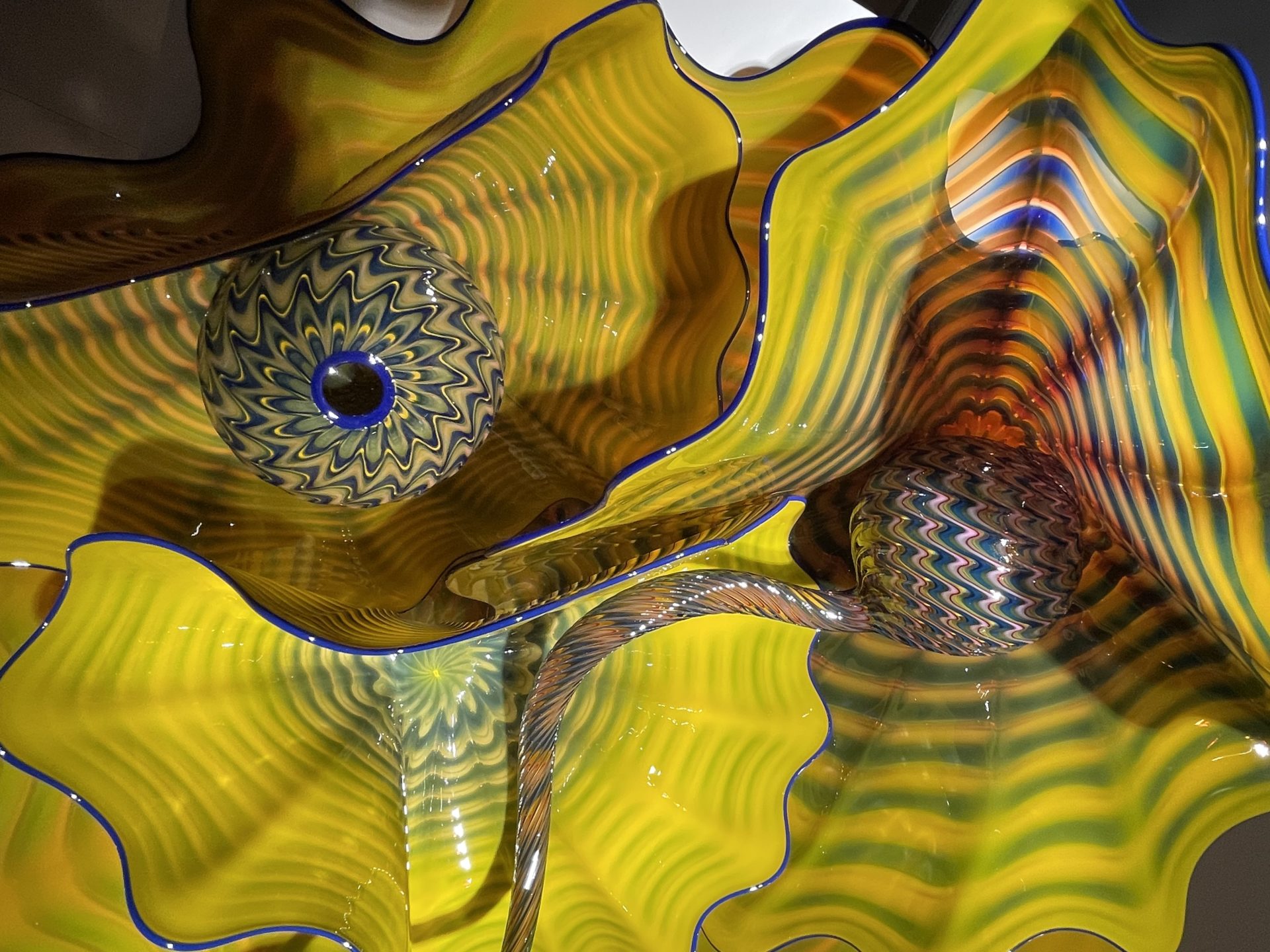 American artist Dale Chihuly s Works Curated by Sir Paul Smith in his Paris Showroom and soon at his Grenelle Boutique A Shaded View on Fashion