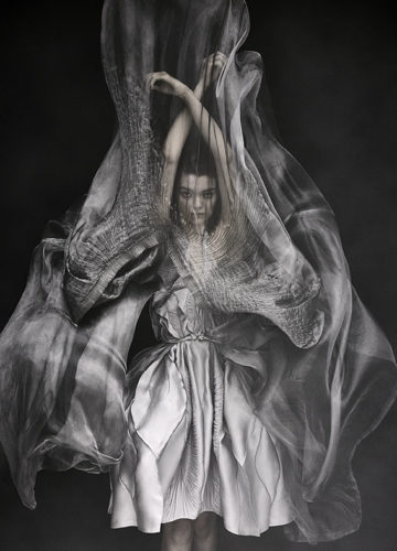 Yiqing Yin