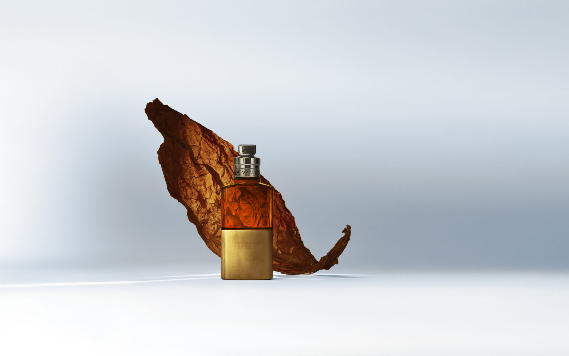 Dries Van Noten's Havana Gold: A Scent for Night Owls and Dreamers