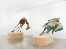 Image 17-09-2025 at 15.50