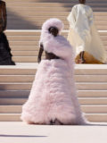 LOOK51_A_FRONT_2968