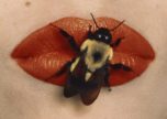 Bee on Lips