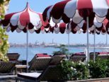 Merriott Isola delle Rose