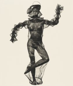 Young Woman in a Net (Issey Miyake Design)