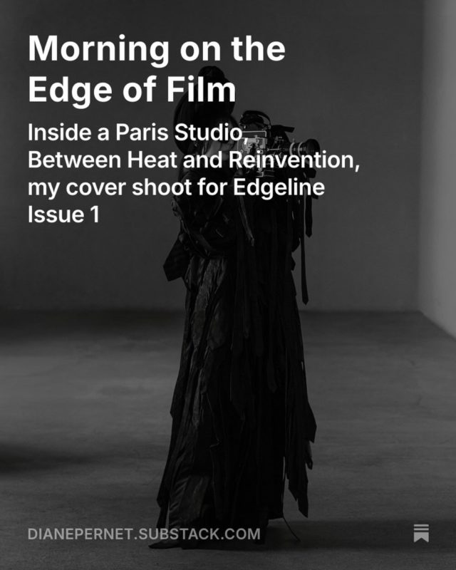 dianepernet.substack