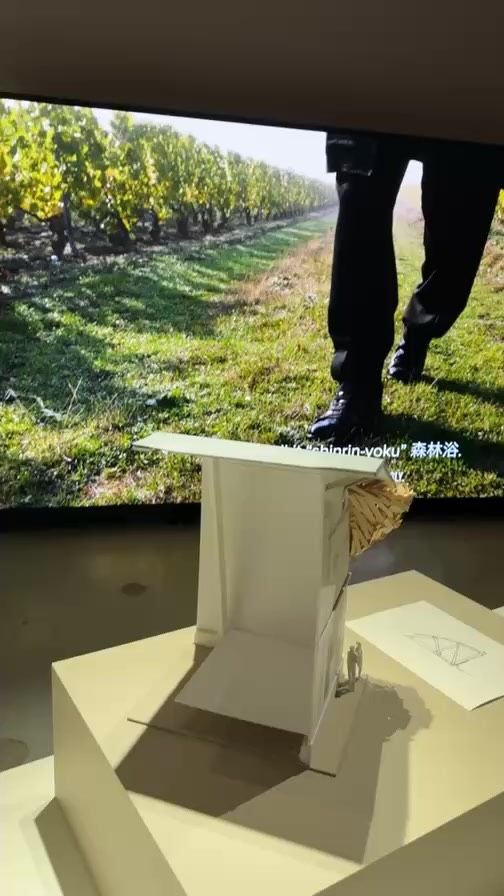 conversations with Tadashi Kawamata for @ruinart